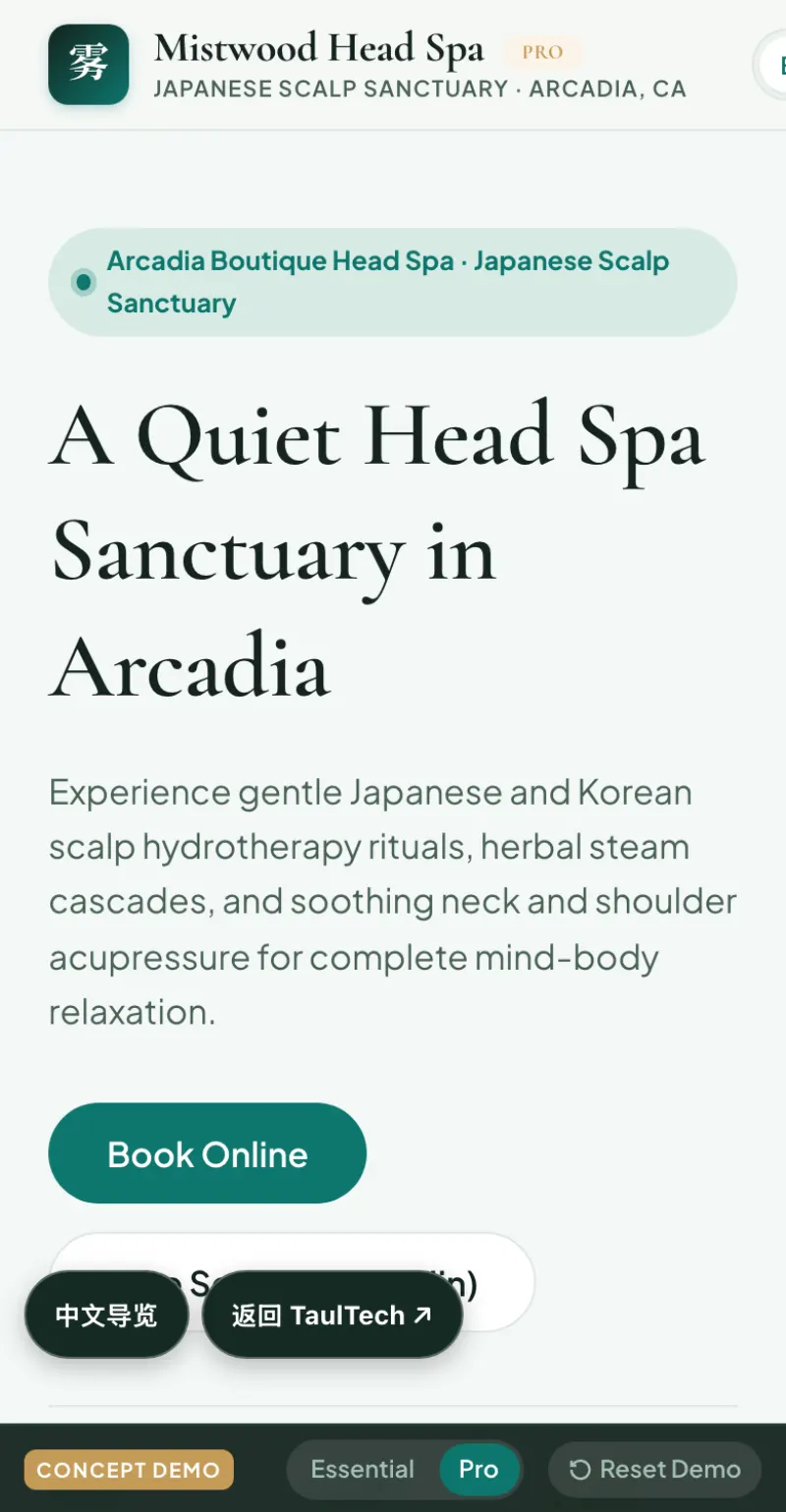 Head spa & wellness Demo